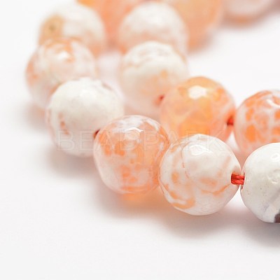 Faceted Natural Fire Crackle Agate Beads Strands G-F447-12mm-B03-1