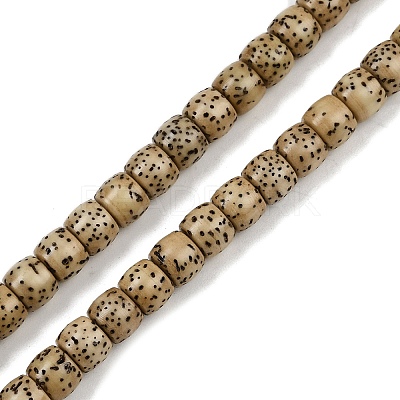 Natural Rudraksha Bodhi Seed Beads Strand WOOD-B010-A03-5x6mm-1