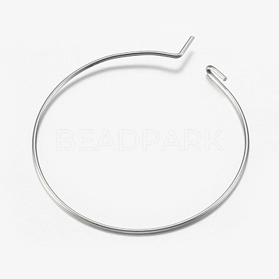 316 Surgical Stainless Steel Hoop Earrings Findings STAS-F149-32P-A-1