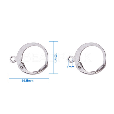 Tarnish Resistant 304 Stainless Steel Leverback Earring Findings STAS-I045-02-1