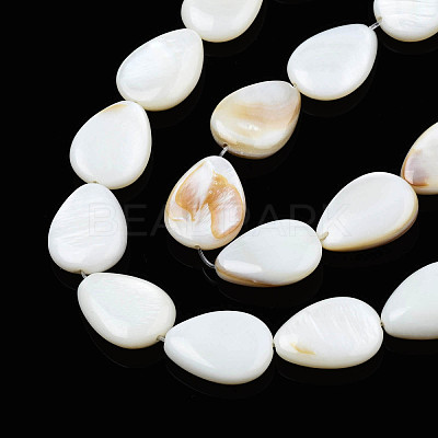 Natural White Shell Beads Strands PBB263Y-1-1