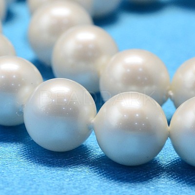 Round Shell Pearl Bead Strands X-BSHE-L011-4mm-A013A-1