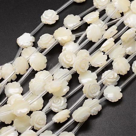 Natural Trochid Shell/Trochus Shell Beads Strands SSHEL-K010-02-1