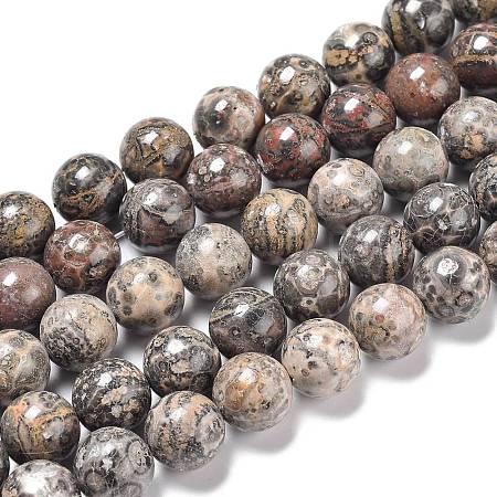 Natural Leopard Skin Jasper Beads Strands G-R474-004-1