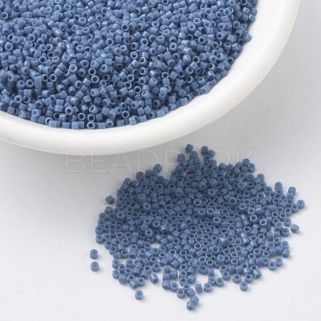 MIYUKI Delica Beads X-SEED-J020-DB2135-1