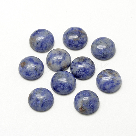 Natural Blue Spot Jasper Cabochons X-G-R416-8mm-45-1