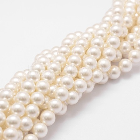 Shell Pearl Bead Strands X-BSHE-L026-03-8mm-1