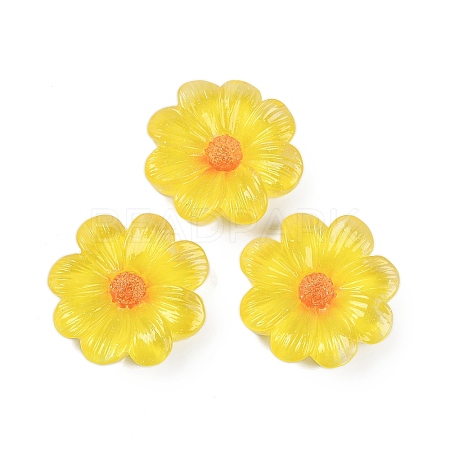 Flower Series Resin Cabochons CRES-Q008-01F-1