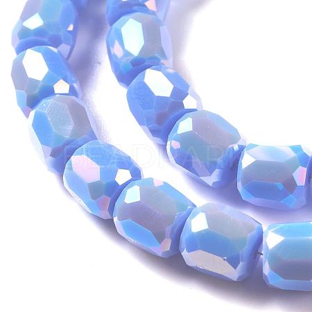 Electroplate Opaque Glass Beads GLAA-F108-10A-03-1
