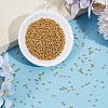 50G Glass Seed Beads SEED-PA0001-36A-02-4