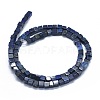 Natural Lapis Lazuli Beads Strands G-F631-C10-2