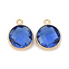 Glass Charms KK-C228-02G-2