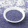 MIYUKI Round Rocailles Beads SEED-X0054-RR0434-3