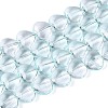 Baking Paint Transparent Glass Beads Strands DGLA-N021-01B-01-1