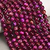 Grade AB Natural Tiger Eye Beads Strands X-G-F591-18-8mm-05-1