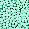 Baking Paint Glass Seed Beads SEED-T007-15K-3