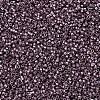 MIYUKI Delica Beads X-SEED-J020-DB0462-3