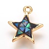 Brass Enamel Charms KK-E763-10D-G-1