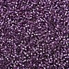 MIYUKI Delica Beads SEED-X0054-DB2169-3