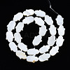 Natural Freshwater Shell Beads Strands SHEL-S278-02-A01-2