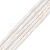 Natural Freshwater Shell Dyed Beads Strands SHEL-M018-12-12-2