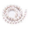 Natural Keshi Pearl Beads Strands PEAR-S020-L04-3