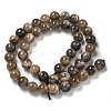 Natural Black Moonstone Beads Strands G-Q183-A01-01-3