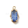 Brass Glass Charms LS-KK-U061-10G-02-1
