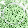 Baking Paint Glass Seed Beads X1-SEED-K010-A18-3