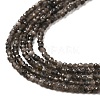 Natural Silver Sheen Obsidian Beads Strands LS-G-E608-A02-A-3