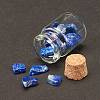 Transparent Glass Wishing Bottle Decoration DJEW-A001-01C-14-4