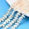 Natural Cultured Freshwater Pearl Beads Strands PEAR-N014-05-1