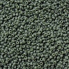 MIYUKI Round Rocailles Beads SEED-G007-RR0501-3