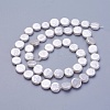 Shell Pearl Beads Strands X-BSHE-P030-01A-1