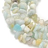 Natural Flower Amazonite Chips Beads Strands G-M205-12B-7