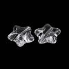 Transparent Acrylic Beads OACR-M011-03-2
