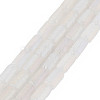 Electroplate Frosted Glass Beads Strands EGLA-T008-026-A01-2