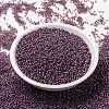 MIYUKI Round Rocailles Beads SEED-JP0010-RR0386-2