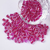 6/0 Two Cut Glass Seed Beads SEED-S033-09B-06-1