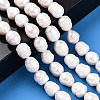 Natural Cultured Freshwater Pearl Beads Strands PEAR-N012-10D-6