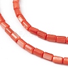 Natural Freshwater Shell Dyed Beads Strands SHEL-M018-12-02-3