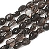 Natural Ice Obsidian Beads Strands G-P497-01A-15-2