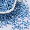 Baking Paint Glass Seed Beads X-SEED-S042-15A-11-1
