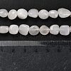 Natural White Jade Beads Strands G-P497-01E-25-5