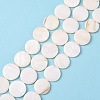 Natural Freshwater Shell Beads X-S00C20W3-1