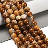 Natural Wood Lace Stone Beads Strands G-B128-A04-04-2