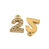 304 Stainless Steel Pendants STAS-L080-002G-02-2