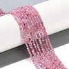 Natural Pink Tourmaline Beads Strands G-N342-33-2