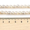 Electroplated Natural Freshwater Shell Beads Strands BSHE-G036-22-4