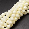 Shell Beads Strands SSHEL-E571-39-8mm-1